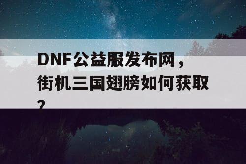 DNF公益服发布网，街机三国翅膀如何获取？