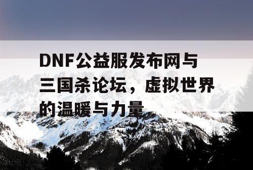 DNF公益服发布网与三国杀论坛，虚拟世界的温暖与力量