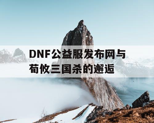 DNF公益服发布网与荀攸三国杀的邂逅