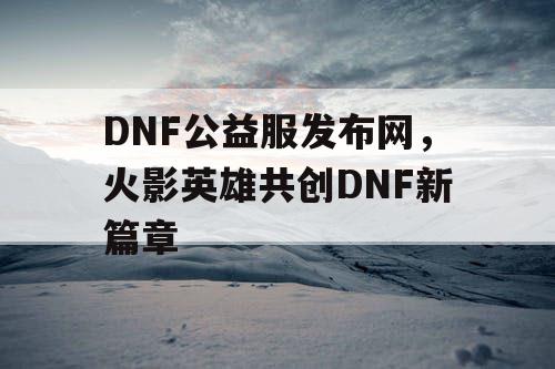 DNF公益服发布网，火影英雄共创DNF新篇章