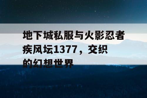 地下城私服与火影忍者疾风坛1377，交织的幻想世界