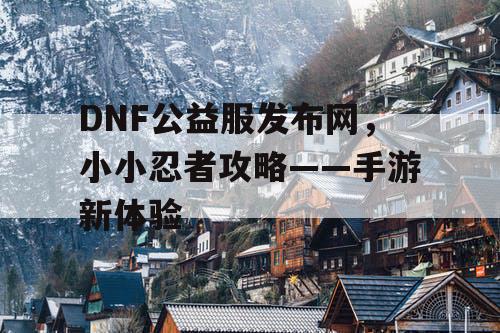 DNF公益服发布网，小小忍者攻略——手游新体验