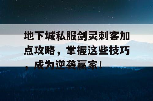 地下城私服剑灵刺客加点攻略，掌握这些技巧，成为逆袭赢家！