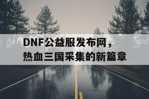 DNF公益服发布网，热血三国采集的新篇章