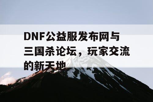 DNF公益服发布网与三国杀论坛，玩家交流的新天地