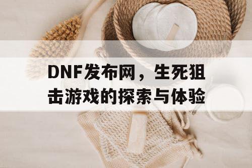 DNF发布网，生死狙击游戏的探索与体验